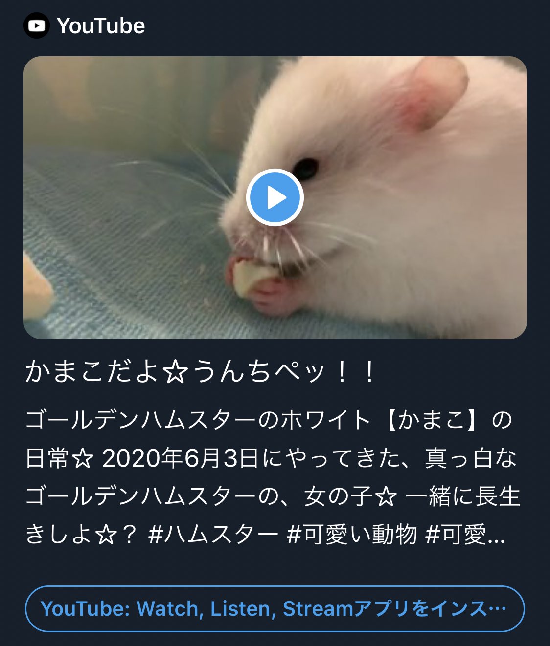 まんじゅうとおだんご Kamakochannel Twitter