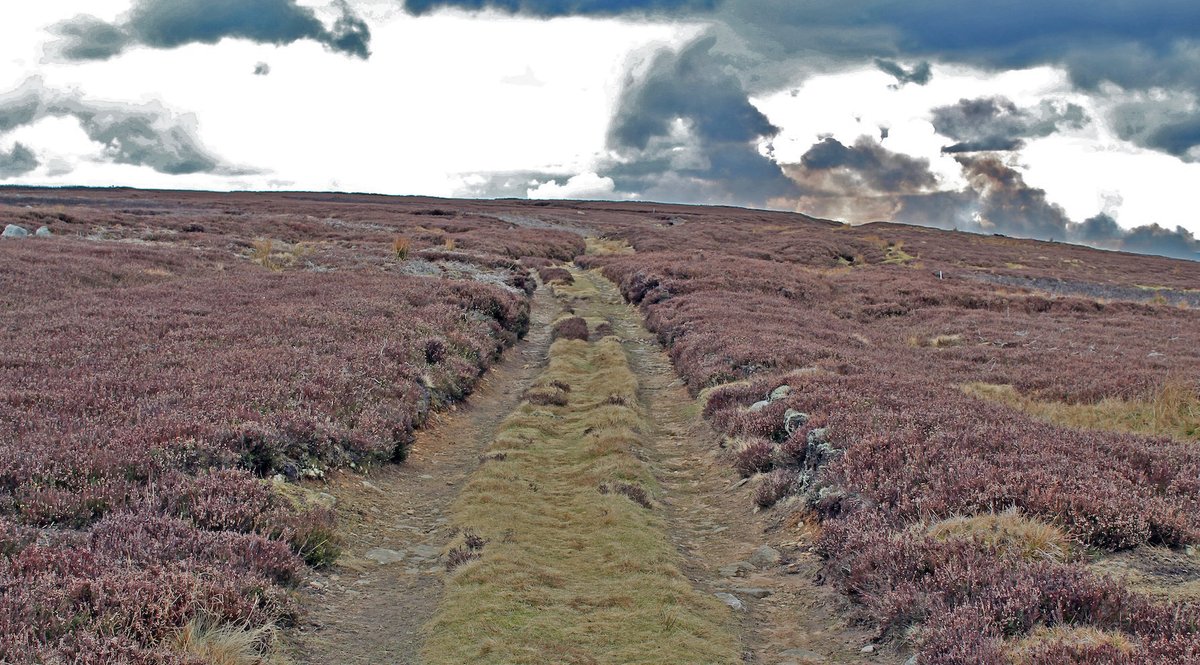 cottage1863's tweet photo. Continuing with my Cottage A-Z of the #NorthPenninesAONB 
@NorthPennAONB
 we have....

The magnificent #CrossFell.

#CarriersWay....winding its journey across the Fells.

The #Croglin Grange Vampire.......🙃 https://t.co/FBobaunpwa