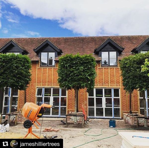We are pleased to say you can now find Hillier Trees on Instagram too!

Follow us for images from our latest projects, photos of magnificent trees and more.

instagram.com/hilliertrees/