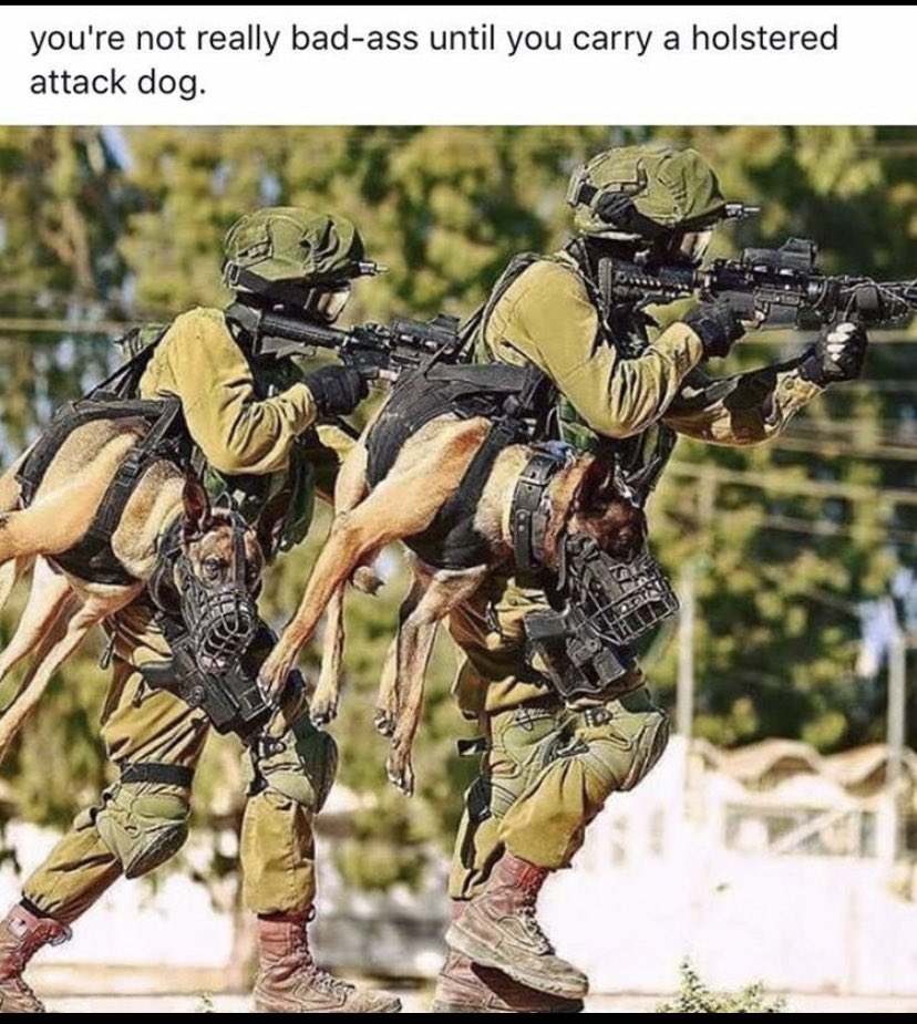 SofttAphrodite's tweet photo. You’re not really bad-ass until you carry a holstered attack dog 🐕 https://t.co/ZOo62Qn6cq