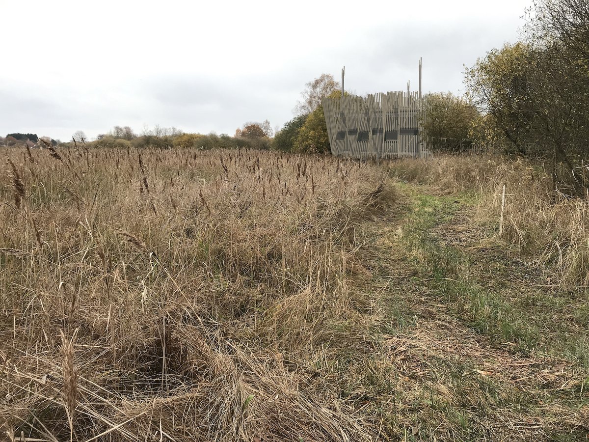 Screened by timber battens and nestling at the edge of one of Europe's most important wetland habitats, this is our new birdwatching hide and observation tower for @WickenFenNT  with <a href="/shelteredspaces/">Marcus Rowlands</a> and <a href="/Canham_Norwich/">Canham Consulting</a> 
2hd.uk/workshop/wicke…