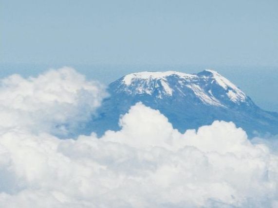 theatrebristol's tweet image. Theatre Bristol Bulletin: 9 July 2020 (The Arumaristics Edition) - mailchi.mp/theatrebristol…