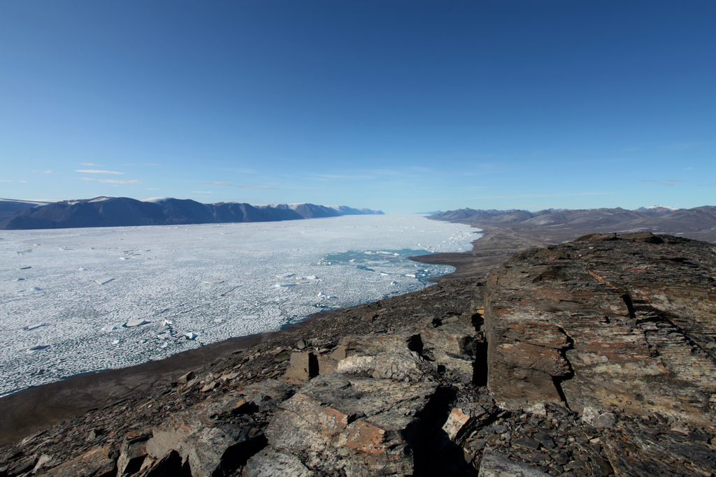 Our next speaker in our free online lecture series is @museumsmithery. Find out the evidence behind the appearance of the #FirstAnimals from a polar research perspective, as well as how modern marine ecosystems evolved: bit.ly/2BEfcQ4 🐢