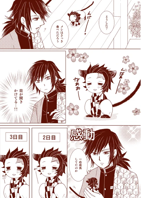 義勇さんの仔猫育成日記⑤

仔猫の目はいきなり開いてることが多いのでこの間の任務はさびまこに代わってもらっていたぎゆさん。
そして耳もいつの間にか立っていることには気づかないぎゆさん。 