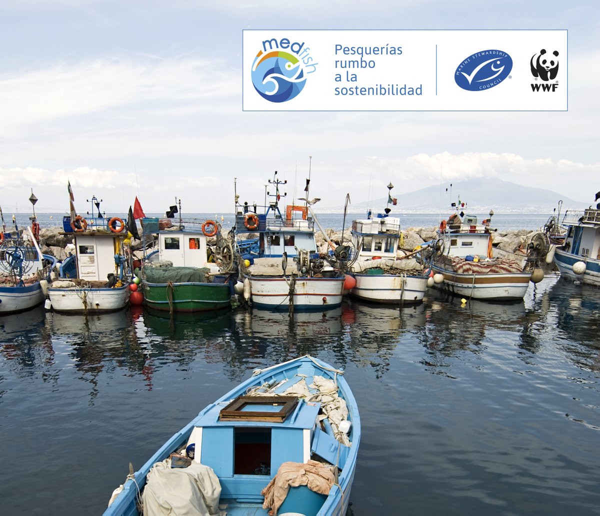 laurarzugasti's tweet image. El proyecto #Medfish utiliza el estándar de @MSCecolabel para pre evaluar pesquerías en el Mediterráneo, el objetivo es abordar debilidades con un enfoque regional, nos cuenta
@julioagujetasm #VIEncuentro #JuntosMejor
project-medfish.com/es/