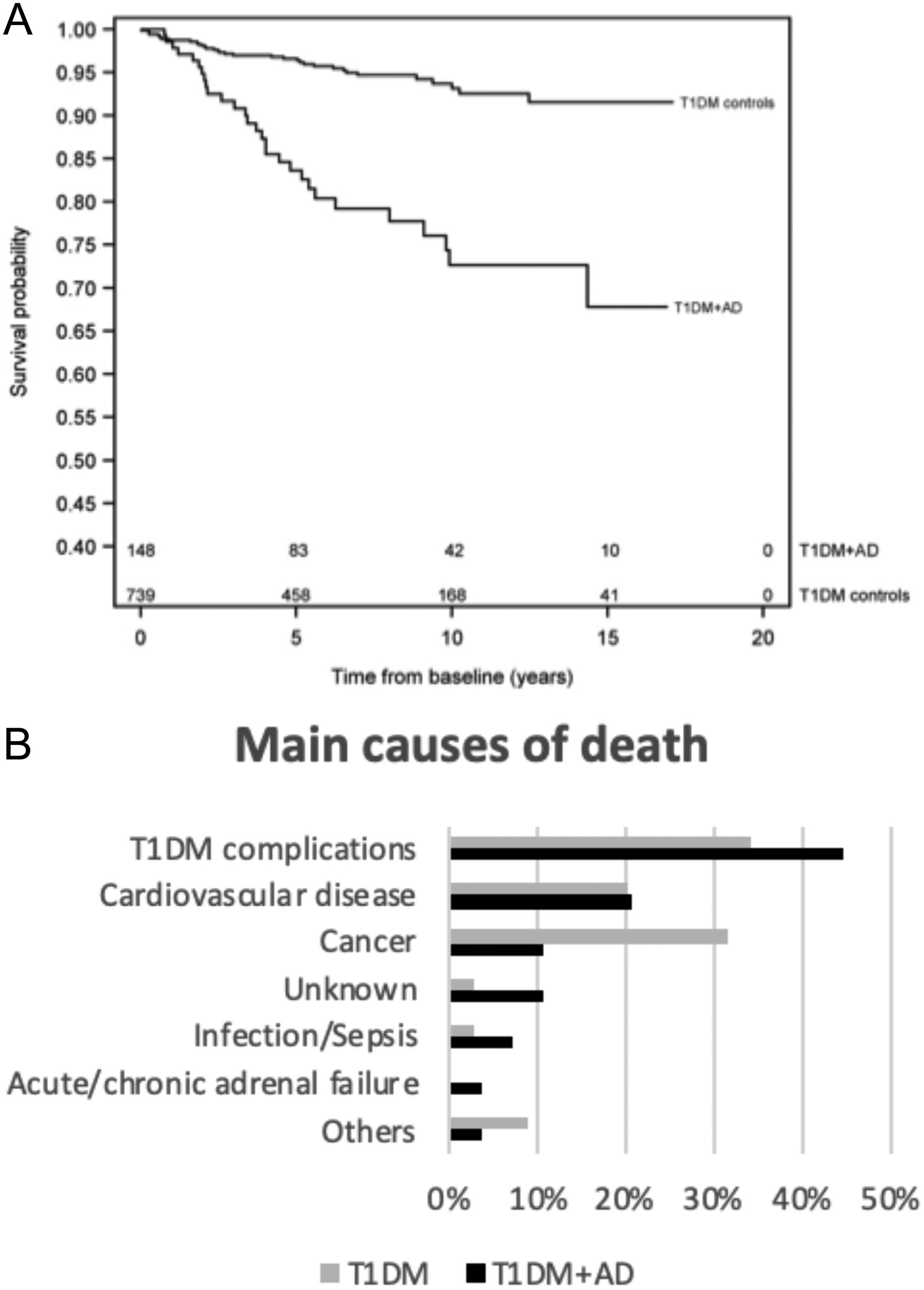 Cystatin C is glucocorticoid responsive, directs recruitment of