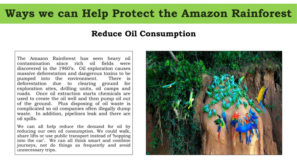 mrs_dossett's tweet photo. Some fantastic work on how we can help to protect the Amazon Rainforest for our South America topic!
@AP_Deanery #deaneryprojects #SouthAmerica #rainforest
๐ง๐ท๐ง๐ด๐ต๐ช๐ช๐จ๐จ๐ด๐ป๐ช๐ฌ๐พ๐ฌ๐ซ๐ธ๐ท ๐ฒ๐ณ๐ฒ๐ณ๐ฒ๐ณ๐ฒ๐ณ๐ฒ๐ณ https://t.co/puLRTB8sCM