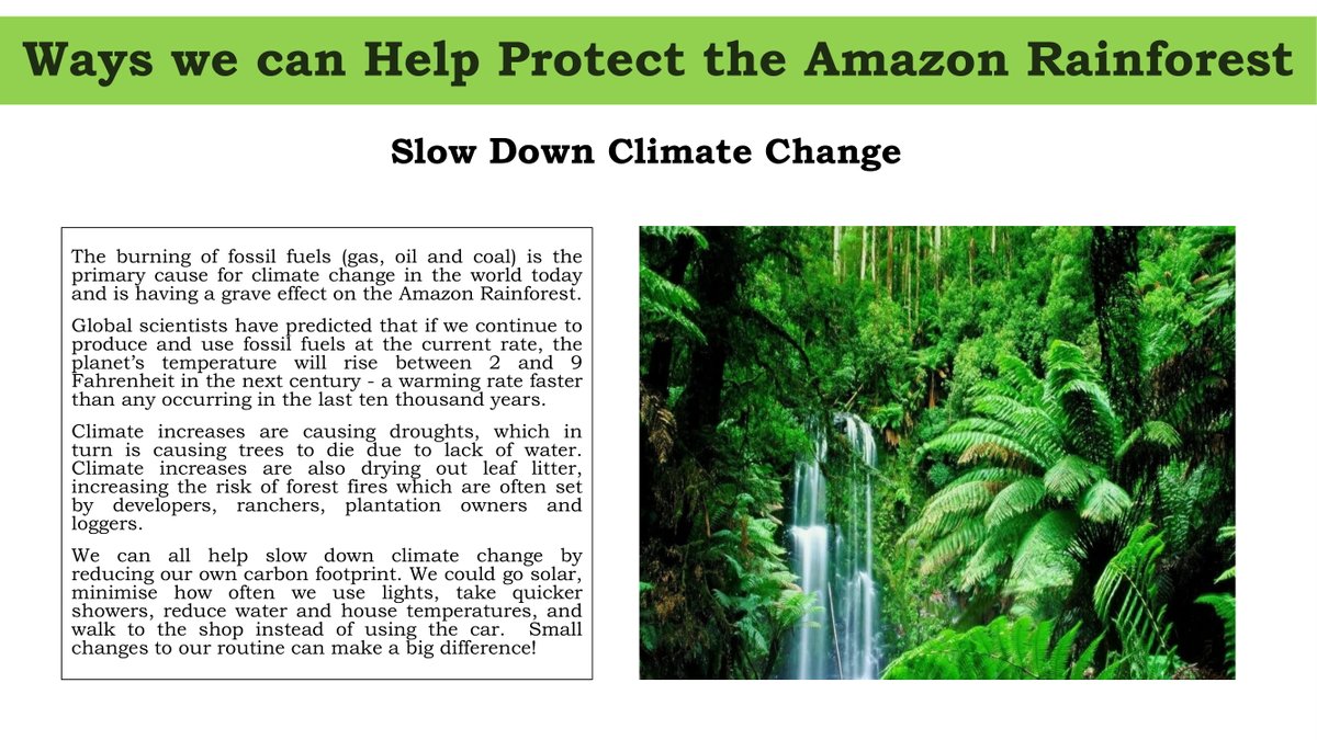 mrs_dossett's tweet photo. Some fantastic work on how we can help to protect the Amazon Rainforest for our South America topic!
@AP_Deanery #deaneryprojects #SouthAmerica #rainforest
๐ง๐ท๐ง๐ด๐ต๐ช๐ช๐จ๐จ๐ด๐ป๐ช๐ฌ๐พ๐ฌ๐ซ๐ธ๐ท ๐ฒ๐ณ๐ฒ๐ณ๐ฒ๐ณ๐ฒ๐ณ๐ฒ๐ณ https://t.co/puLRTB8sCM