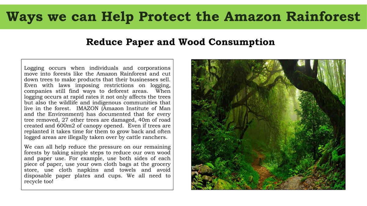 mrs_dossett's tweet photo. Some fantastic work on how we can help to protect the Amazon Rainforest for our South America topic!
@AP_Deanery #deaneryprojects #SouthAmerica #rainforest
๐ง๐ท๐ง๐ด๐ต๐ช๐ช๐จ๐จ๐ด๐ป๐ช๐ฌ๐พ๐ฌ๐ซ๐ธ๐ท ๐ฒ๐ณ๐ฒ๐ณ๐ฒ๐ณ๐ฒ๐ณ๐ฒ๐ณ https://t.co/puLRTB8sCM