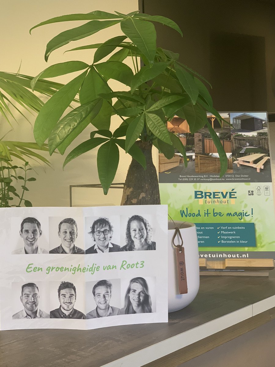 brevetuinhout's tweet photo. Wat een leuke verrassing #eengroenigheidje Root3 bedankt! #wooditbemagic https://t.co/5O2s0aQZzK