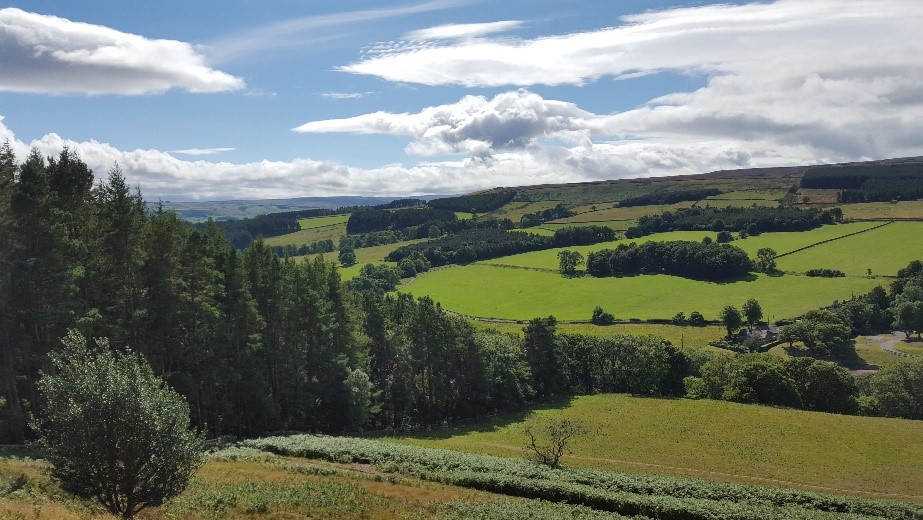 Our website is now live! It has useful information about the aims, membership &amp; associates of the network, blog, discussion forum, planned symposia, network members’ publications &amp; other activities in which we are involved. research.reading.ac.uk/changing-lands…