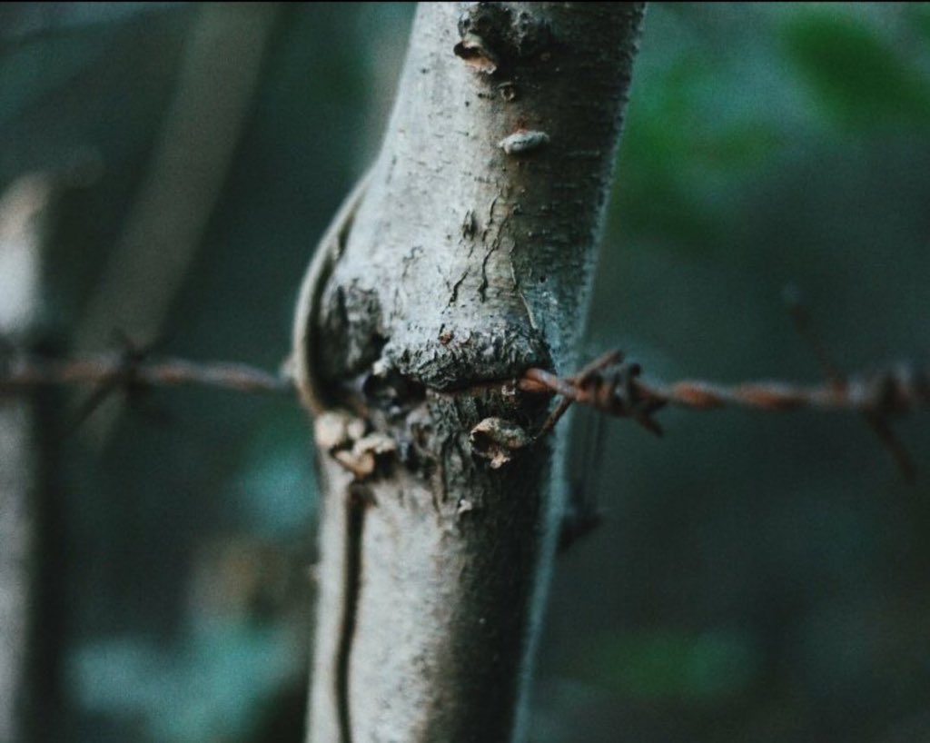 Sevdaya yasak koyan�n D�nyada yeri olmaz.