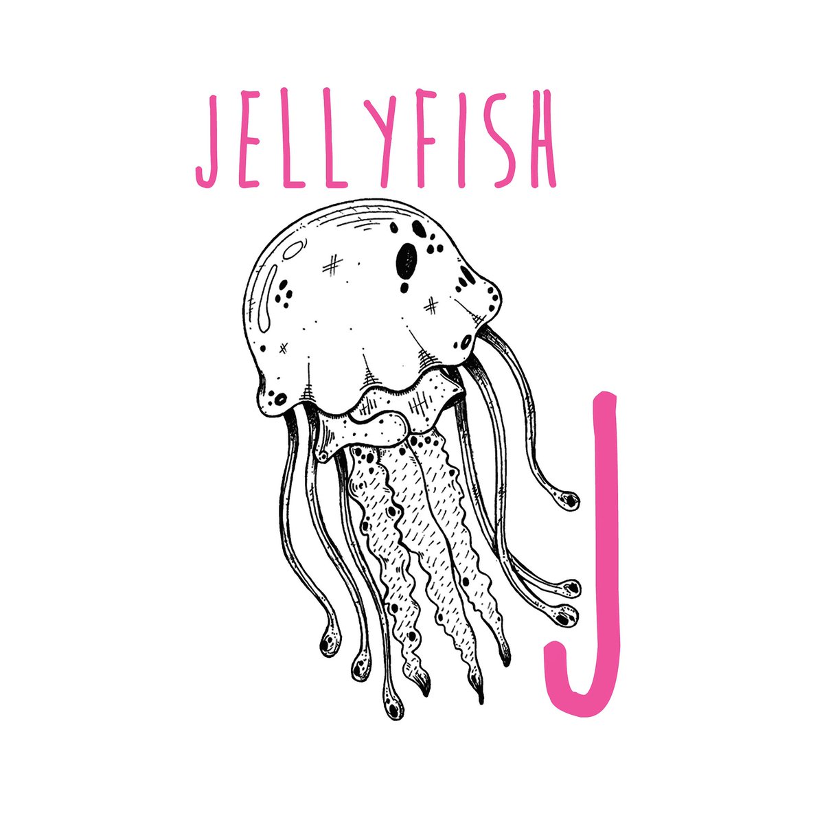 JPercivalPrints's tweet photo. J is for...
⠀⠀⠀⠀⠀⠀⠀⠀⠀⠀⠀
It’s day 9/26 of my project called ‘Animal Alphabet’
⠀⠀⠀⠀⠀⠀⠀⠀⠀⠀⠀
#animalalphabet #animaldrawings #alphabetdrawing #animaldrawing #jellyfishdrawing #jellyfishdrawings #jellyfishlover #jellyfishart #jellyfishillustration https://t.co/VMpnjIkJ73