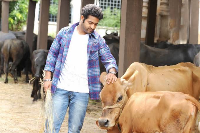 deepu0567's tweet photo. #17YearsForIHSimhadri
Last 4 mins https://t.co/hOTHoZbw2p