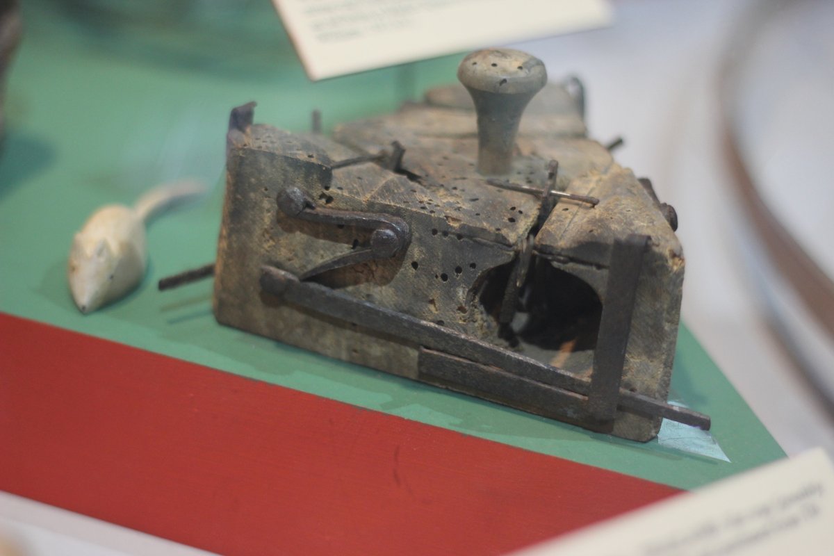 Pitt_Rivers's tweet photo. #PittSpot We seem to have a thing about mice in the museum! Here's an early triple-sprung mouse-trap, purchased in Wantage, Oxfordshire, in 1911. Rather dramatically classified as a 'hunting accessory' (although the mouse lurking behind it may not be aware of this). https://t.co/TlxWDWbtaD