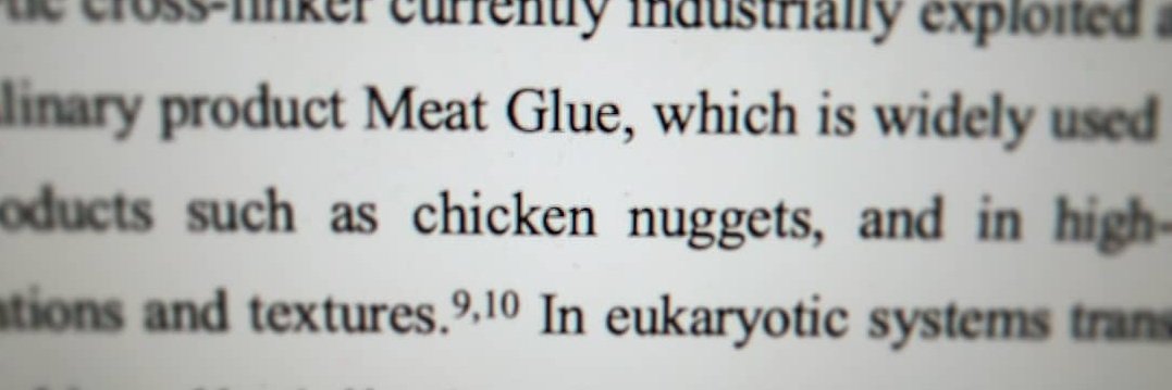 RosieMaddock's tweet photo. If someone had told me a year ago that my first, first author paper would involve a discussion about chicken nuggets I wouldn't have believed you. But here we are... Maddock et al ft. nugs (and also @DrNMoreau @GregsPollard @nzomics) https://t.co/sL8kn2JX0j https://t.co/hGLT5YYtQx