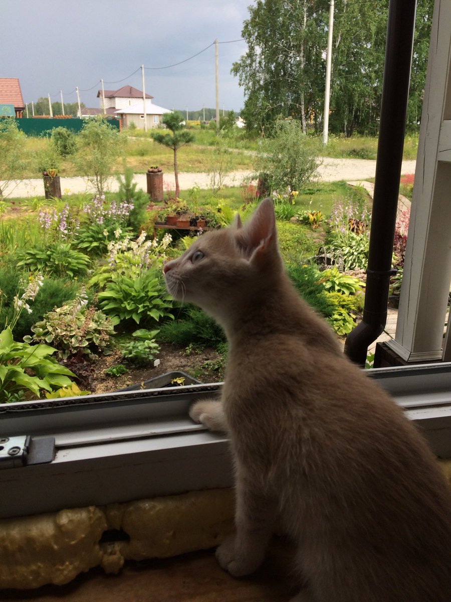 elamxxz's tweet photo. я так сильно его люблю https://t.co/5bQlrILYoa