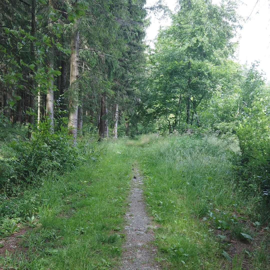GazorTrail's tweet photo. https://t.co/ex6oZt2xEI #exploring #valley #backcountry #bush #backpack #hiking #camping #tent #walking #camping #trails #trailgazor #views #amazing #nature #forest #village #germany #belgium #border https://t.co/Q8tzvyLAyP