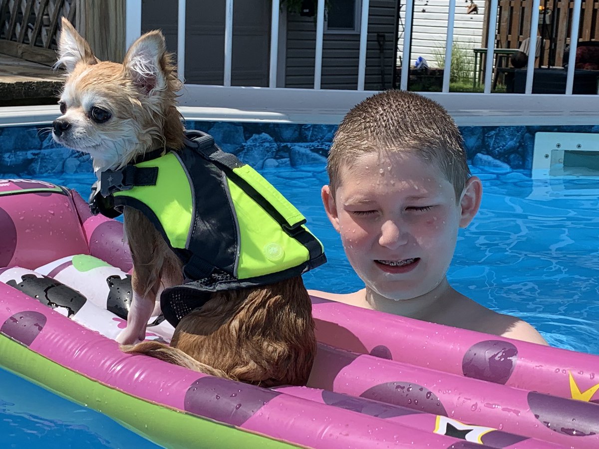 CLEDOGmag's tweet photo. Kaillou & Elphie staying cool! 🐶☄️💥🐶
#PoolDogs #DogsOnFloats #CLEDog https://t.co/9EsWSZAuLc