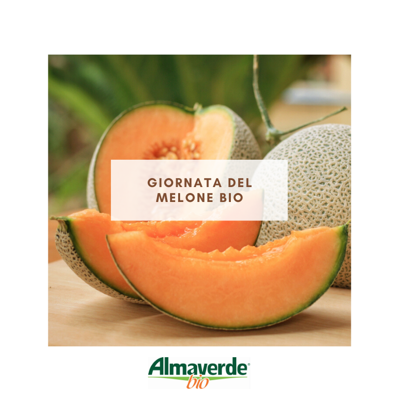 AlmaverdeB's tweet photo. Ci sono due scuole di pensiero sul #melone: chi lo ama e chi non può farne a meno! E voi da che parte state 😉 https://t.co/WU2hQWfxhU