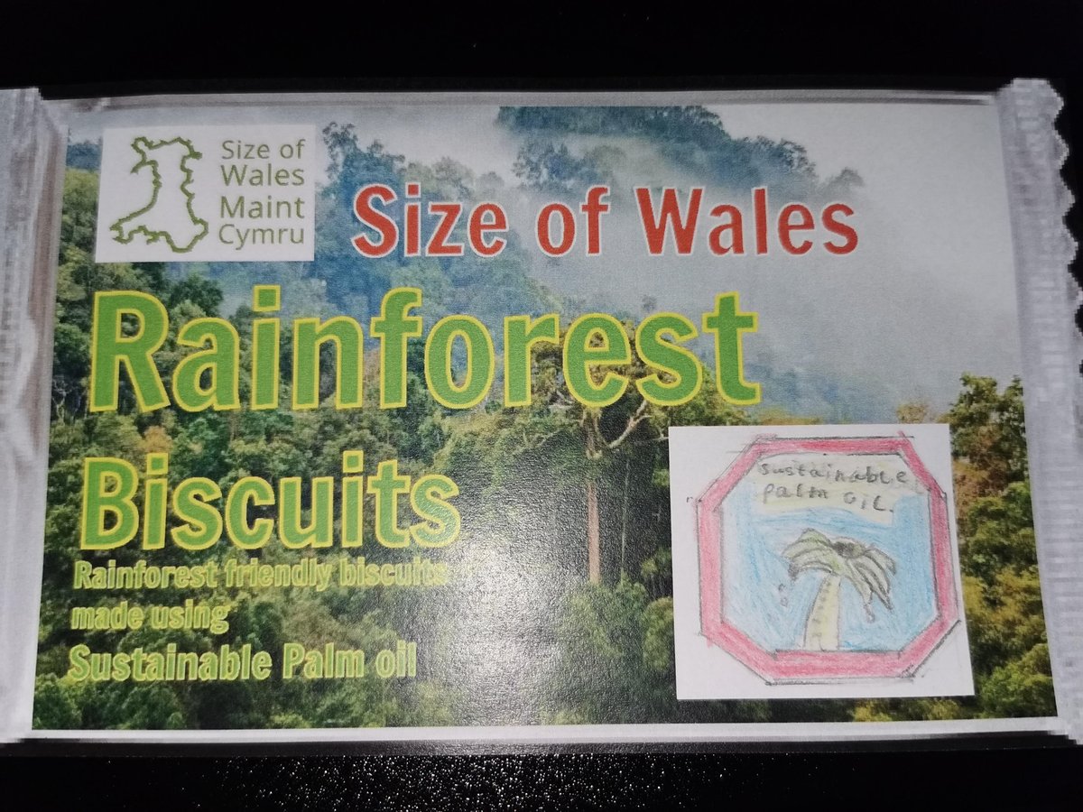 sizeofwales's tweet photo. We held our first online lesson today! Thank you to Year 4 @OakleighHouseS for creating wonderful logos for #Sustainable #PalmOil products. The activity is available here: https://t.co/IjvU9xpj5f If your school is interested in a session with us - get in touch! #SowDailyActivity https://t.co/sSrnkeRFIA