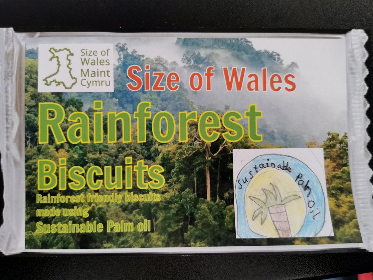 sizeofwales's tweet photo. We held our first online lesson today! Thank you to Year 4 @OakleighHouseS for creating wonderful logos for #Sustainable #PalmOil products. The activity is available here: https://t.co/IjvU9xpj5f If your school is interested in a session with us - get in touch! #SowDailyActivity https://t.co/sSrnkeRFIA