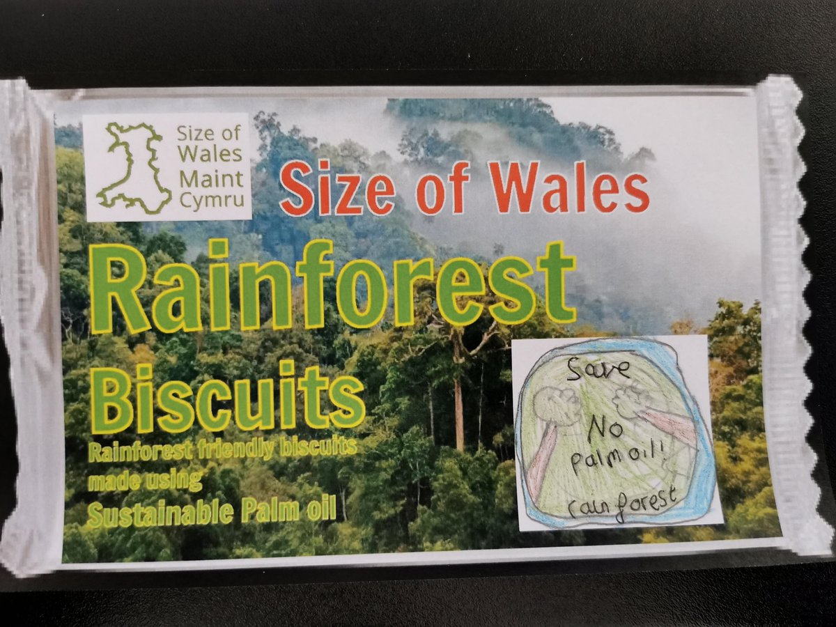 sizeofwales's tweet photo. We held our first online lesson today! Thank you to Year 4 @OakleighHouseS for creating wonderful logos for #Sustainable #PalmOil products. The activity is available here: https://t.co/IjvU9xpj5f If your school is interested in a session with us - get in touch! #SowDailyActivity https://t.co/sSrnkeRFIA