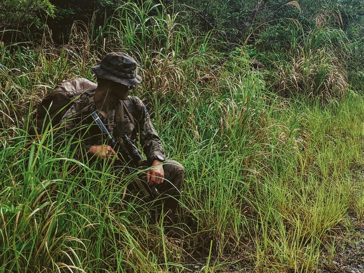 Not_Blade_6's tweet image. Welcome to the jungle! #bladelima hones their edge in a new environment. Different place, same #truepros 

#forwarddeployed #theblade