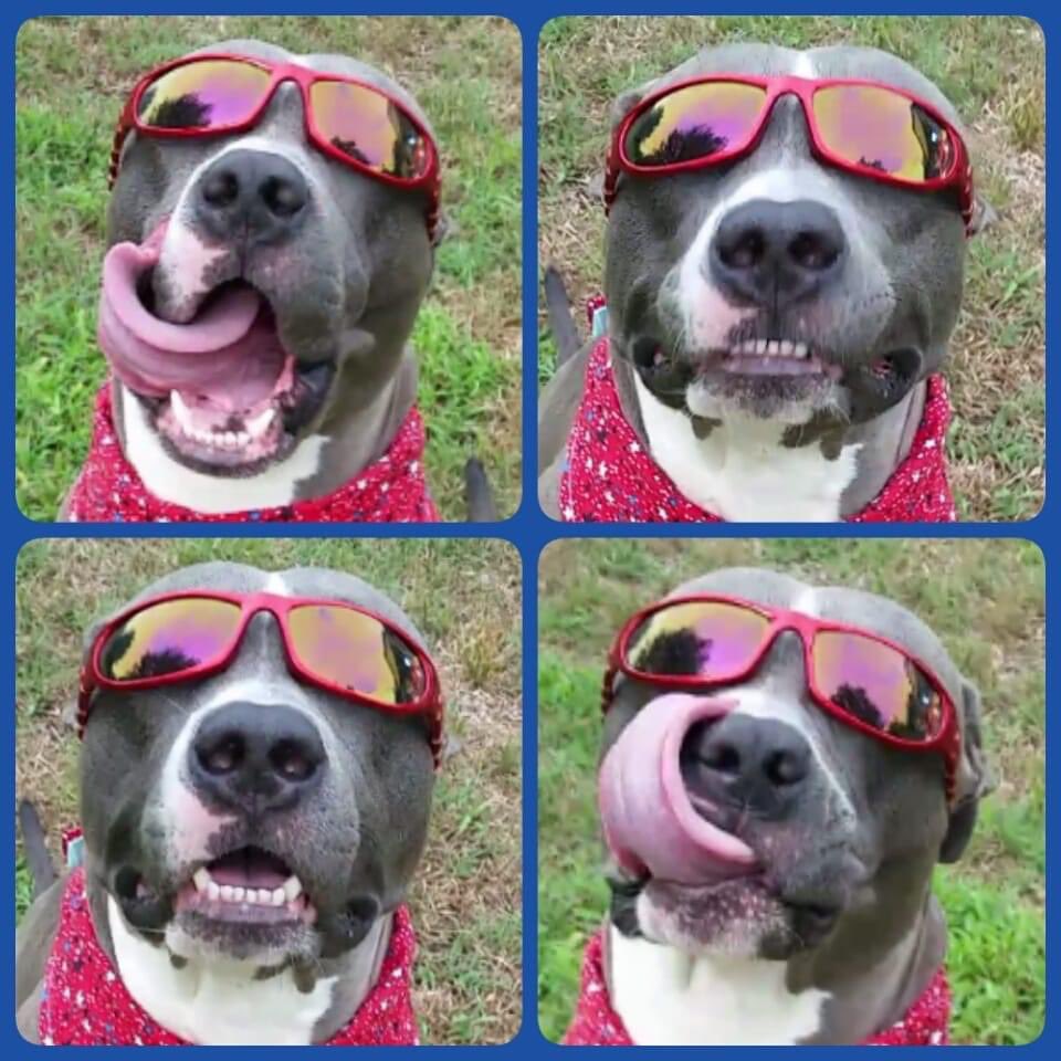 SalsDaylight's tweet photo. HAPPY BIRTHDAY SPROCKET!

Stop by for a FREE ROUND DONUT and CELEBRATE SPROCKETS BIRTHDAY WITH US!(Limit 1 per person. No purchase necessary. 07-09-2020.)

Only location: 812 SE Frank Phillips Blvd.!

#AlwaysBetterAtSals
#TagShareLikeComment ✅
#CityOfBartlesvilleOK https://t.co/nx4Qg20mZJ