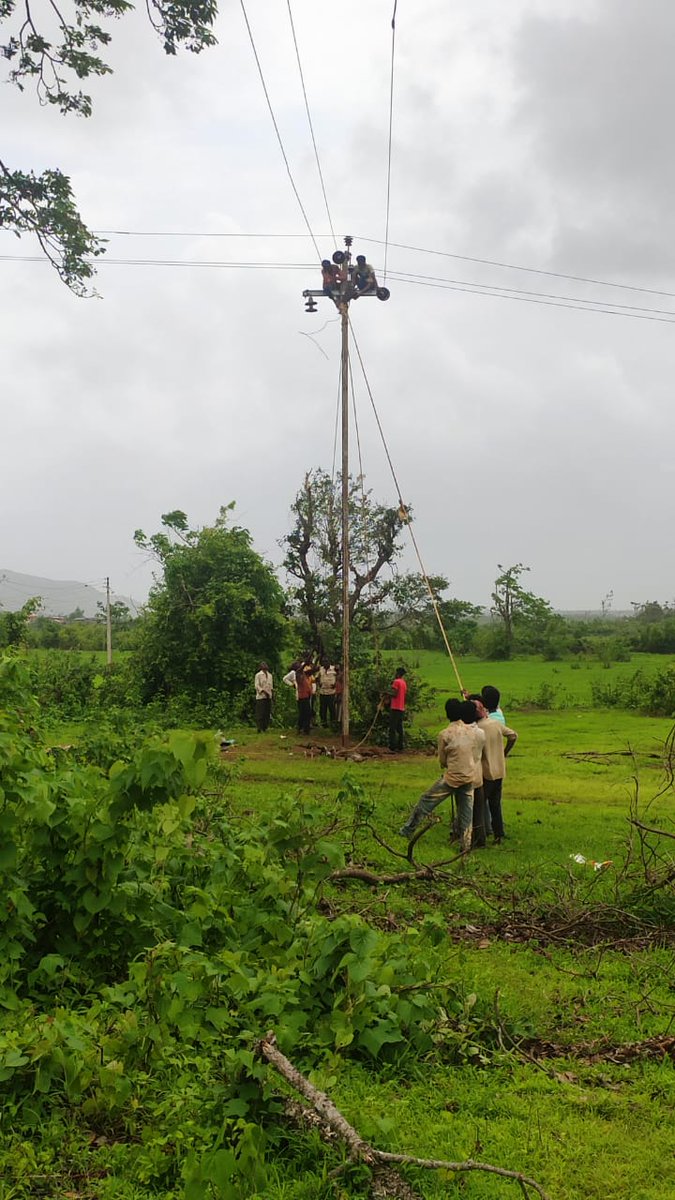 MSEDCL staff worked on war-footing to restore power supply in 1874 villages of Raigad distt which was affected by #CycloneNisarga. More than 170 HT poles, 16 LT poles and a 100 KVA DTC were erected on #Bagmandla feeder under Shreevardhan sub-division to restore the supply.