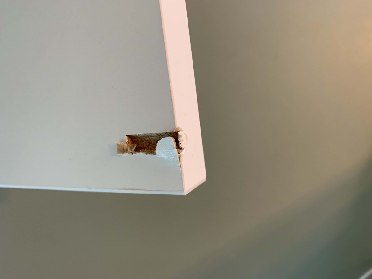 domsku's tweet photo. @IKEAHelpt hi Ikea, tijdens het in elkaar zetten van onze nieuwe Kallax kast bleek dat 1 plankje kapot is. De gaten voor de pluggen zijn niet gecentreerd maar zitten aan de buitenkant. Kunnen we enkel een nieuwe plank ruilen of moeten we de hele kast terugbrengen? https://t.co/CU1yZ8KJa2