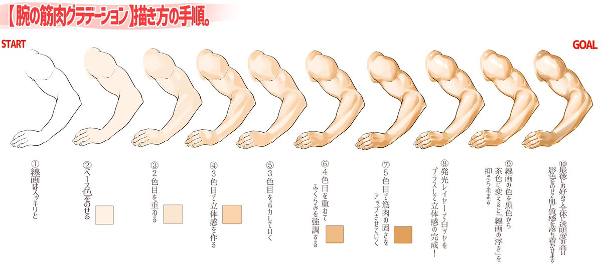 吉村拓也 イラスト講座 プリプリの甘エビ っぽいですが 腕の筋肉の塗り方表 作りました