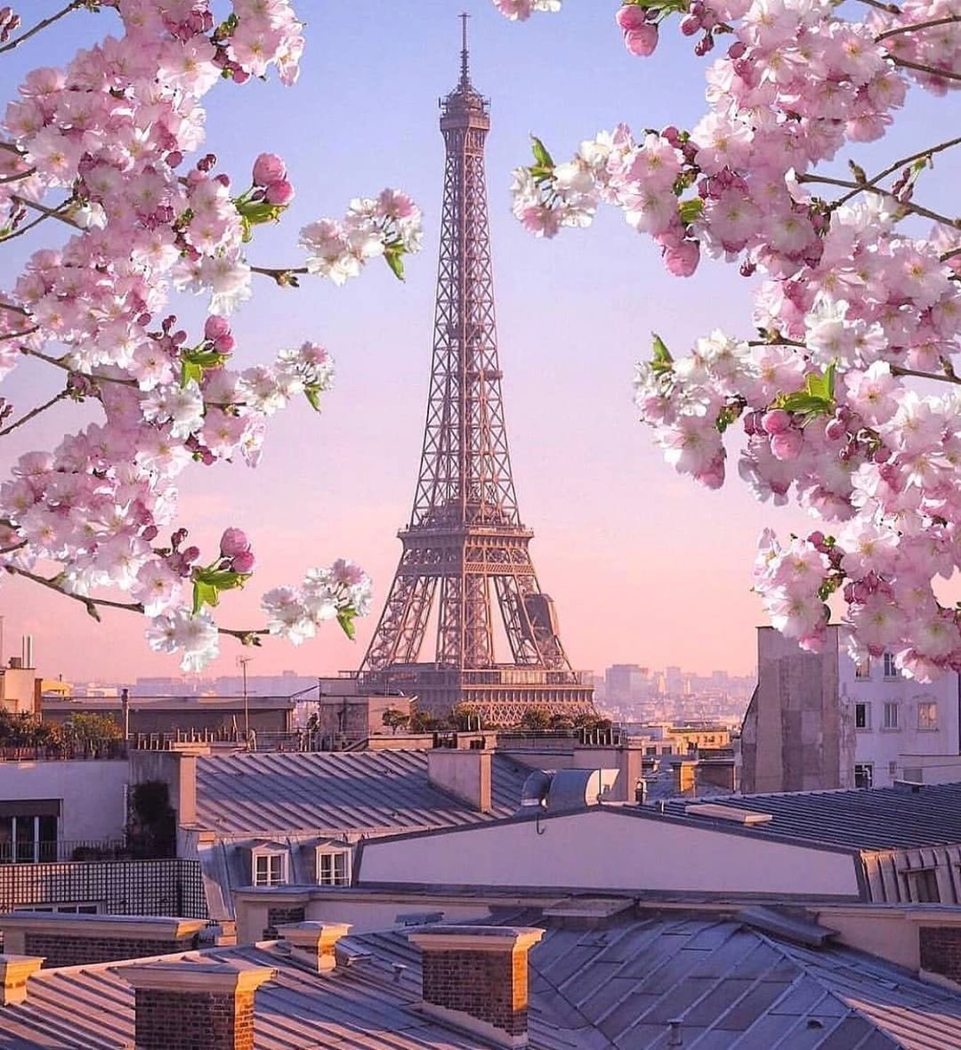 TaleTravel's tweet photo. Good morning from Paris 😍 https://t.co/zKyruTPEtQ