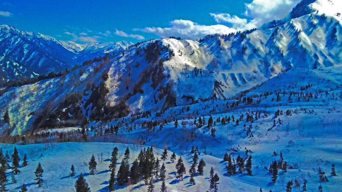 murohusi_com's tweet photo. #trip #japan #TOYAMA #TATEYAMA #KUROBE #ALPINEROUTE #snow #mountain #sakura #cherryblossom #雪 #桜 #立山黒部 #アルペンルート #黒部ダム #壁紙 #自然大好き #ファインダー超しの私の世界 #デジカメ #RX10M3 #photoshop #camera #富山県 #キリトリセカイ #毎日投稿 #写真好きな人と繫がりたい https://t.co/79bVOmc6oP
