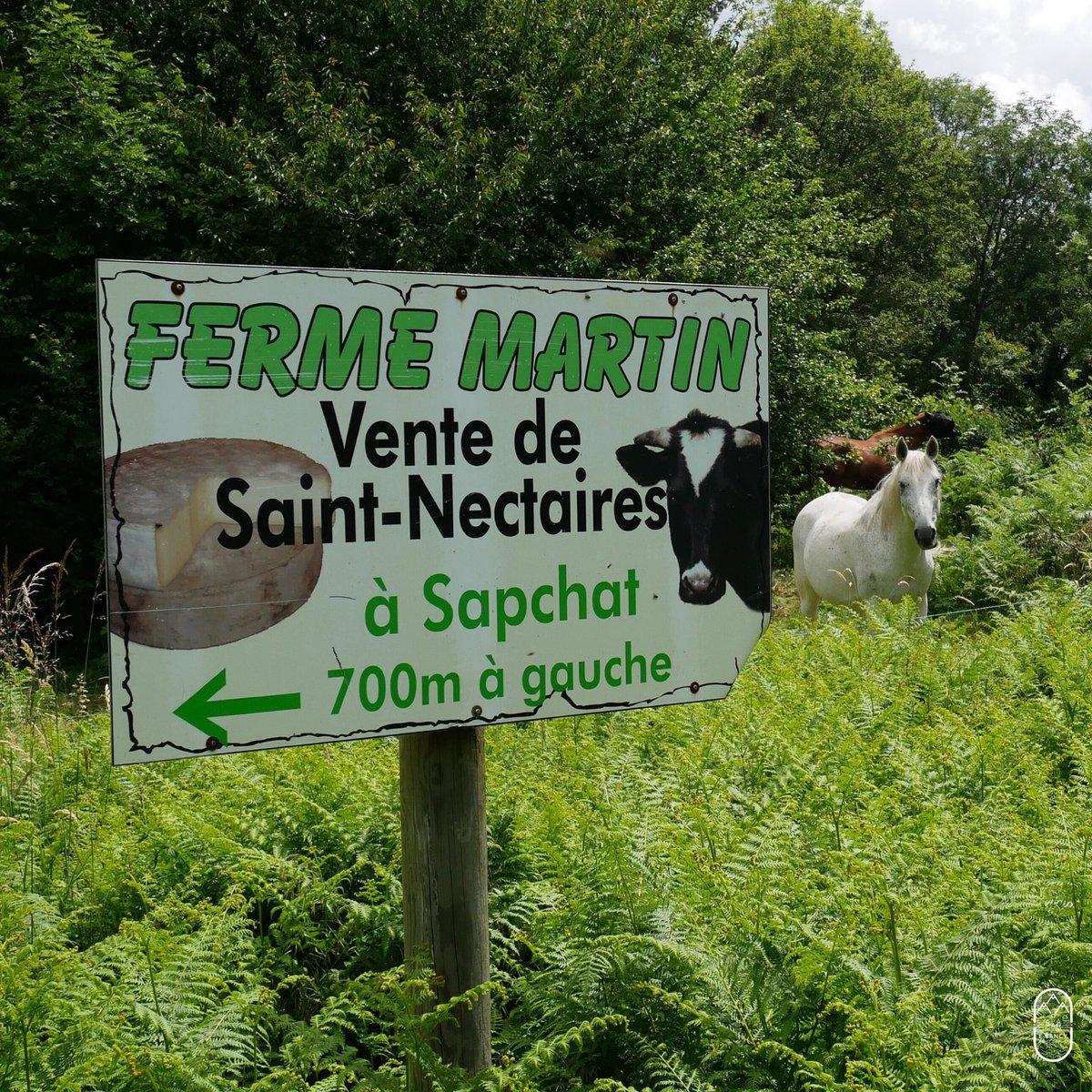 E-SANCY festival tweet media
