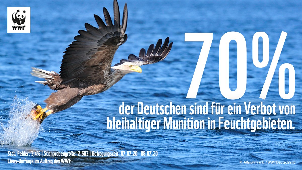 Jedes Jahr gelangen durch Bleimunition Tausende Tonnen des ☠️Schwermetalls in Europas Umwelt, eine Million Wasservögel sterben an Bleivergiftung. Kein Wunder, dass so viele für ein Verbot sind. Also warum ist Julia Klöckner dagegen? #ByeByeBlei

Mehr dazu➡️wwf.de/2020/juli/den-…