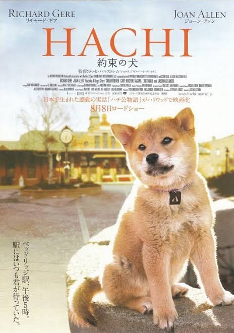 Marley & me or Hachi