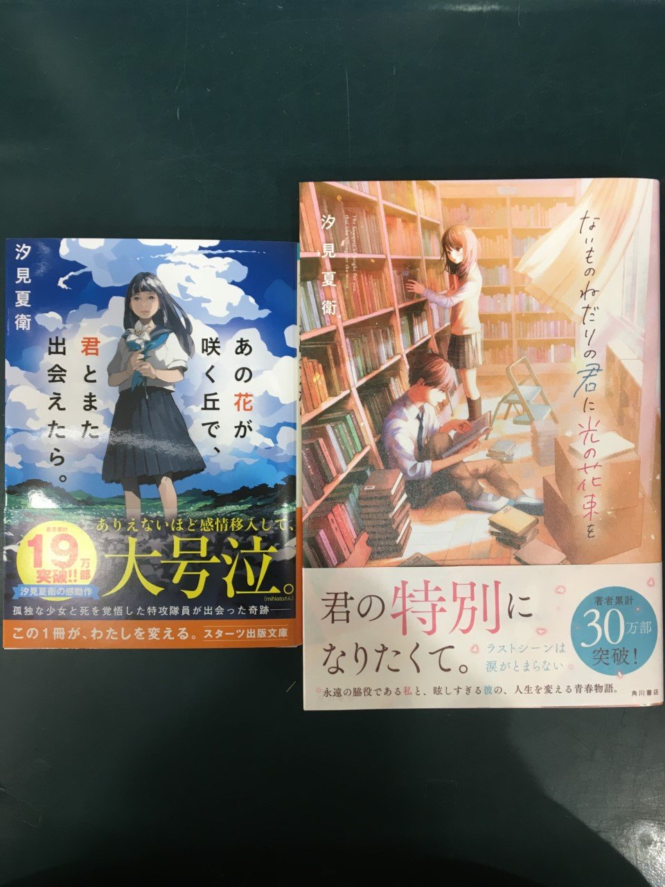 卒業 書店popカードスターツ出版文庫 Tiktok あの花が咲く丘で レア 君とまた出会えたら 未使用 汐見夏衛 総合福袋 あの花が咲く丘で