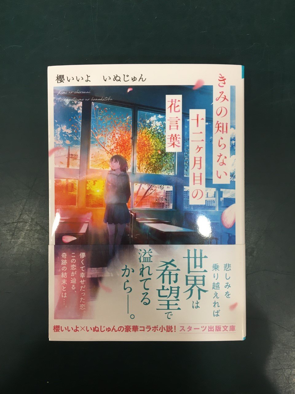 2冊以外恋愛小説 Amazon.co.jp: 命短し恋せよ男女 (電撃文庫) : 比嘉智康, 間明田: 本