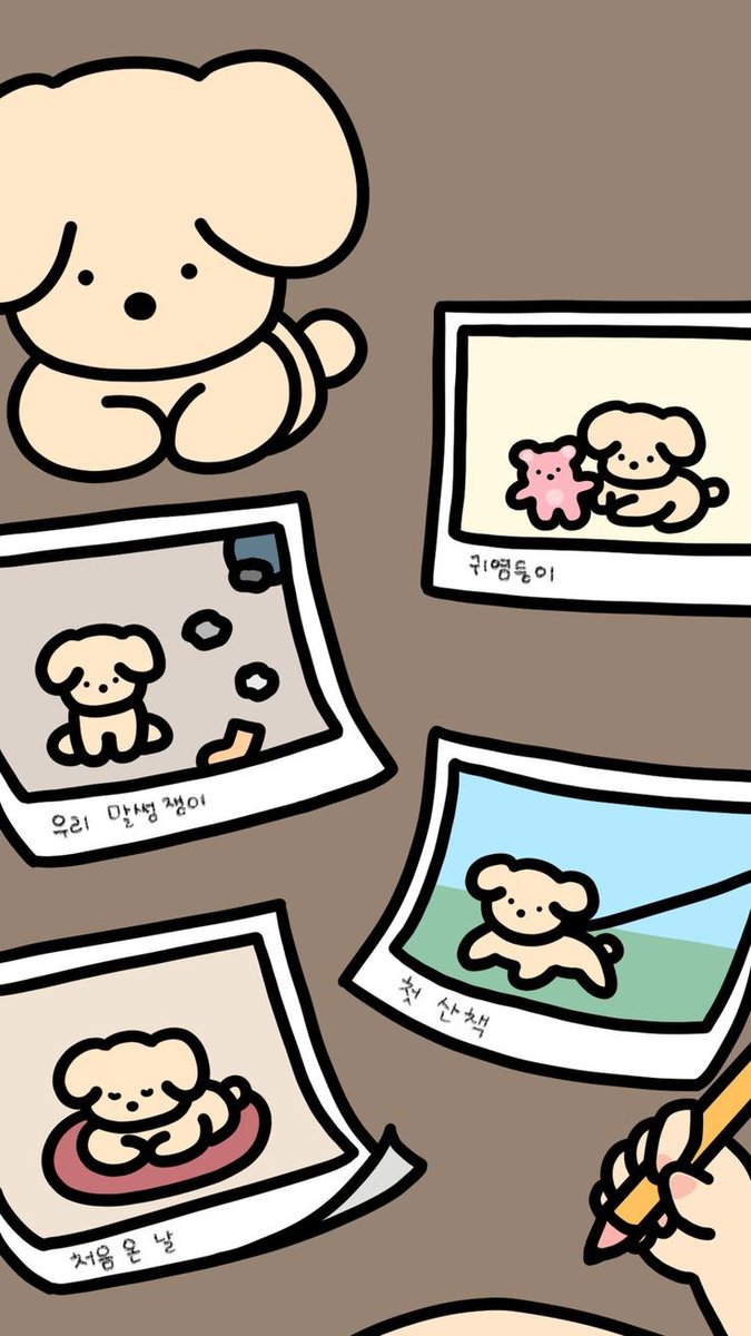 🧸🐾 tweet media