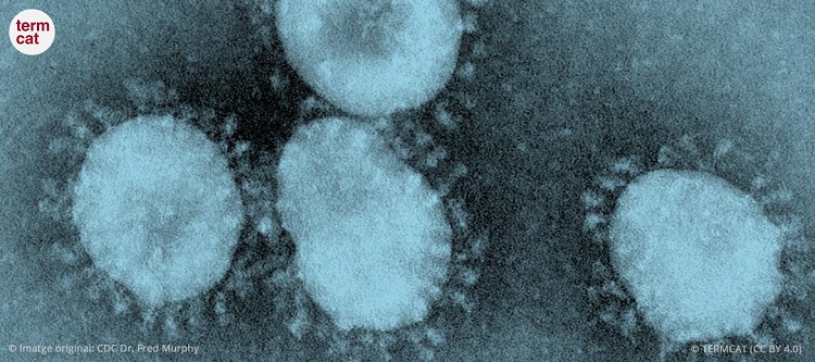 llenguacatalana's tweet photo. 🦠🌡️ ´Termes del coronavirus', actualitzat (ara té més de 100 termes) i amb els equivalents en #occità (variant #aranesa) incorporats.
https://t.co/gjUwEOKmhS
@termcat @salutcat @occitan_aranes #SocDEMCAT @EsterFranquesaB @cultura_cat https://t.co/FFzaqrIcEq