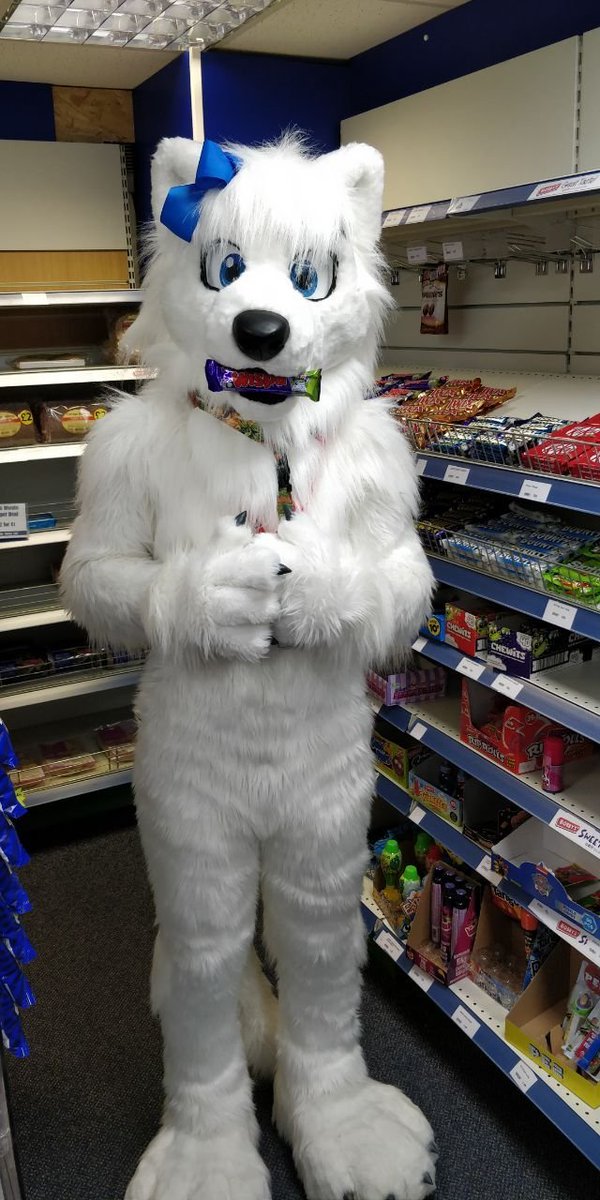 Lucky the Liolf! tweet media