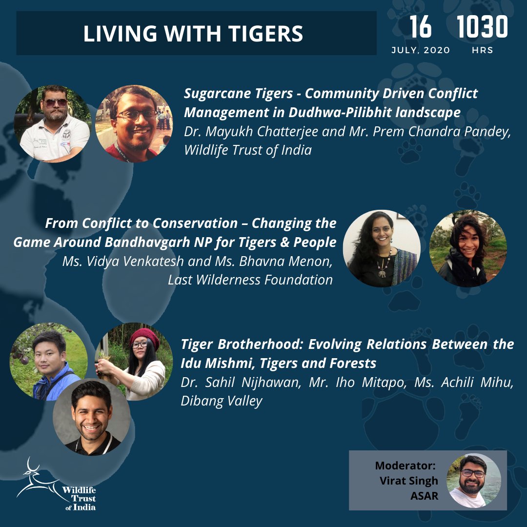 Living with  #tigers: 16 July  #savethedate  #Vidarbha  #IduMishmi  #DibangValley  #Dudhwa from  #conflict to  #conservation w  @vids_  @LastWilderness  @aniruddha_tiger  @LadyIFSOfficers Register to attend, link on 1st tweet on this thread.