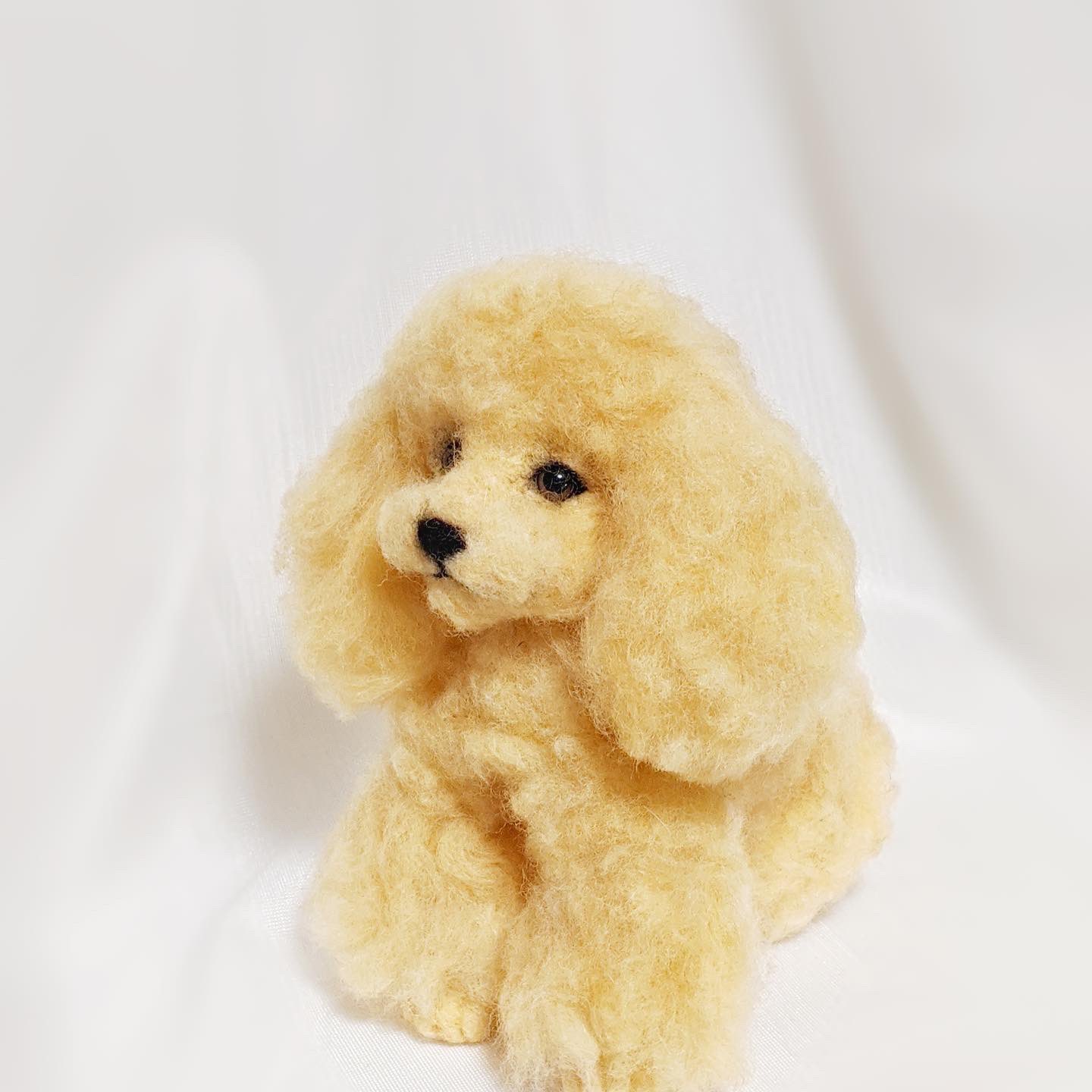 佐藤法雪needle Felted Cats クラファンに出すためにトイプードルの髪型 を変えてみた 散歩の途中によく出会す巻き毛の長いモジャモジャなトイプードルにしてみた 羊毛 羊毛犬 羊毛フェルト 羊毛トイプードル クラウドファンディング トイプードル