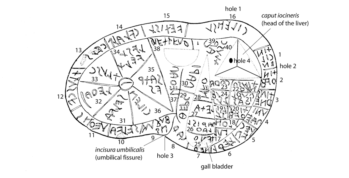 The orientation of the inscriptions on this object suggest that it served as an instructional model for the Haruspex-in-Training.Images: Figures 3&4 from Stevens, 2009 (see end of thread for full citation)