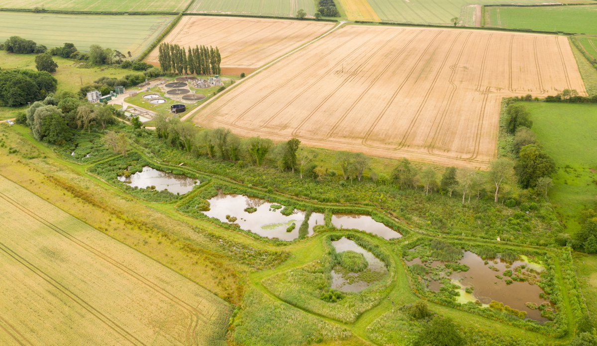 Great day droning for the <a href="/N_Rivers_Trust/">Norfolk Rivers Trust</a>.  Here they have created a wetland that helps prevent thousands of kg of excess nutrients from sewage works getting into our rivers, also locking up carbon and providing a home for wildlife. This place was buzzing with life.