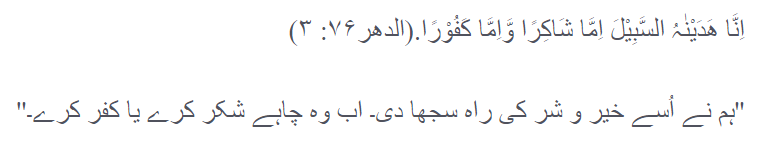 اس روش سے دلیل اوردعوت سے بات کرنے والوں کی راہ مسدود ہوئی اور عام مسلمانوں کا مقدمہ کم زور ہوا۔دلائل کے باوجود کوئی آپ کی بات سے قائل نہیں ہوتا،تو آپ کا کام ختم ہو گیا۔ زبردستی کسی کا عقیدہ تبدیل کرانا آپ کا کام نہیں۔یہ اختیار تو خدا نے خود قدرت رکھنے کے باوجود استعمال نہیں کیا