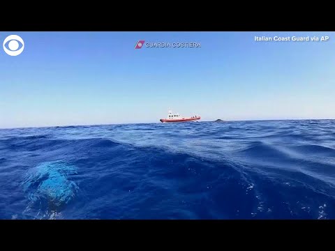 Orca News tweet media
