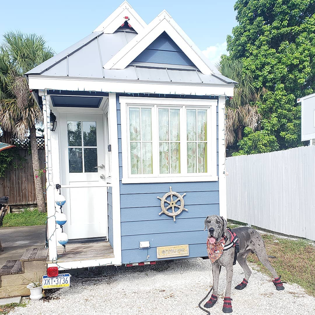 UltraPaws's tweet photo. House 🏠 Hunters for dogs?? We would watch that show! 🐶 Silver is actually on vacation, and we're happy to see he's wearing boots to protect his paws from the hot Florida heat!

📸: IG @silver.hawk.the.great.dane

#tinyhomes #dogsofsummer #adventureswithdogs #glamping #dogboots https://t.co/N15Wvjw1Od