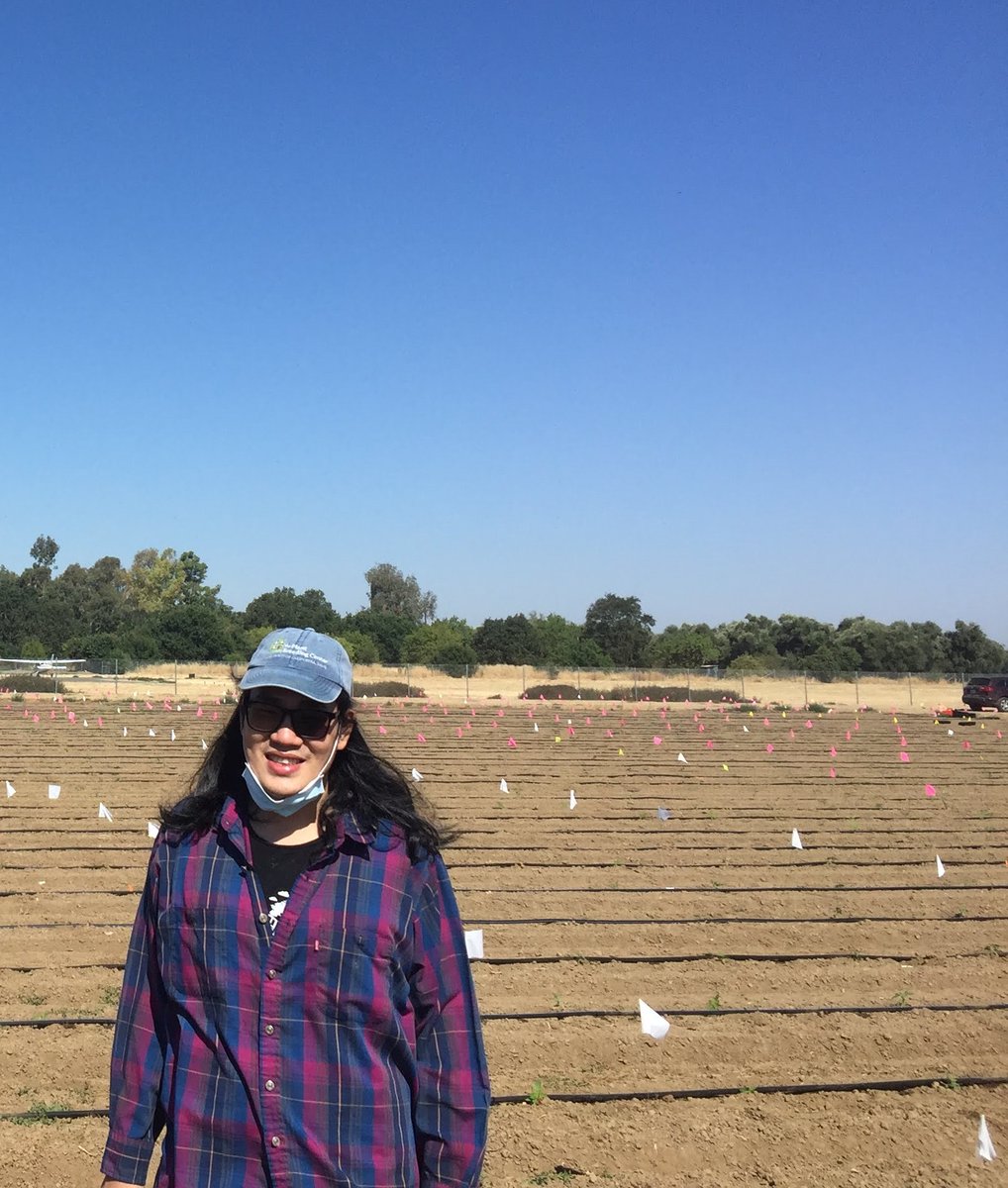 PlantBreedingCenter tweet media